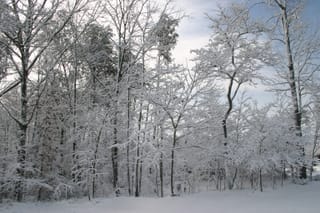 Snow at my house on Kyla Dr.