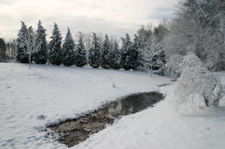 IMG_9789