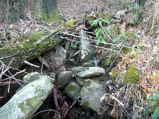 MVI_4085