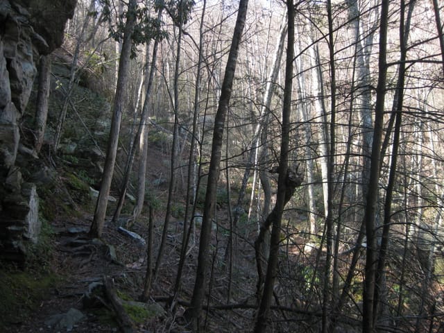 Linville Gorge - Conley Gap Trail