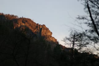 IMG_9981