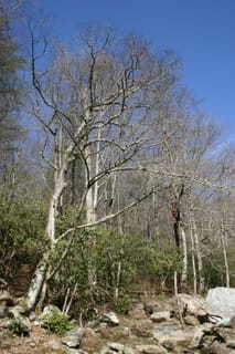 IMG_9880