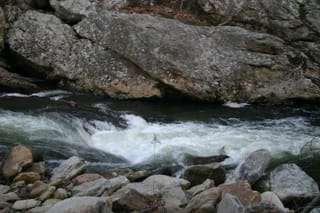IMG_9967