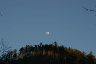 IMG_9944