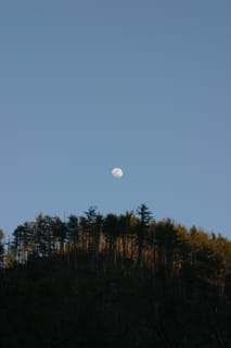 IMG_9945