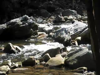 Linville river (tripod)