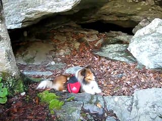 Roxy in a pseudo-cave