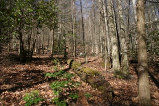 IMG_9868