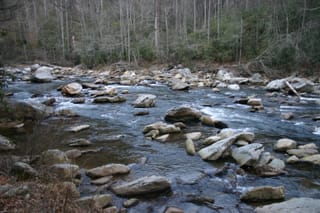 IMG_9908