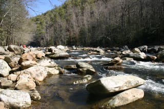 IMG_9862