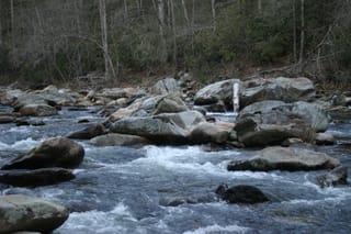 IMG_9926