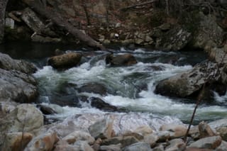 IMG_9989
