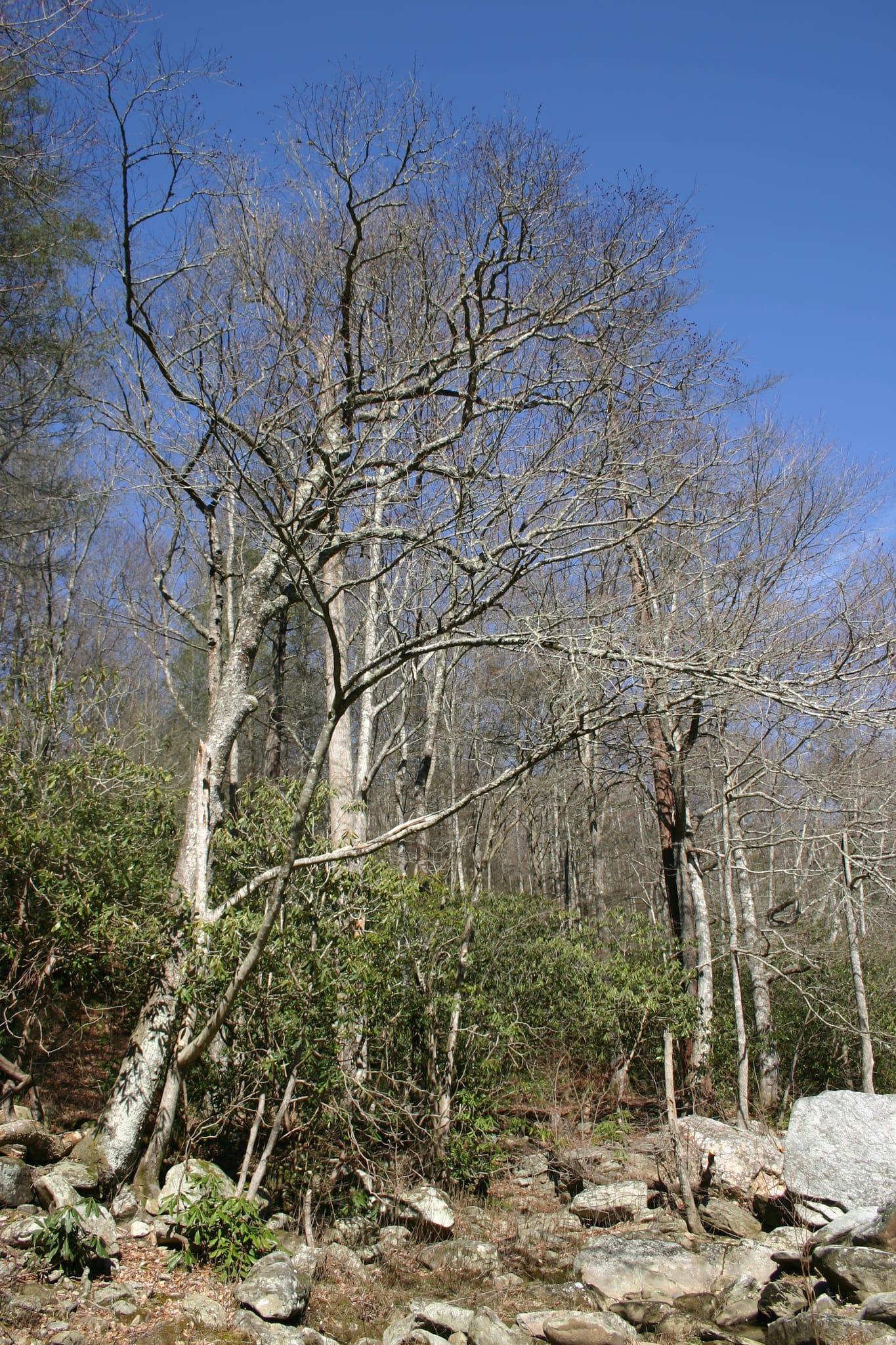 IMG_9880