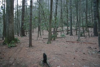 IMG_9968