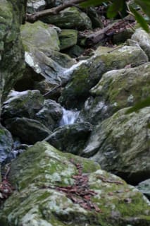 IMG_9950
