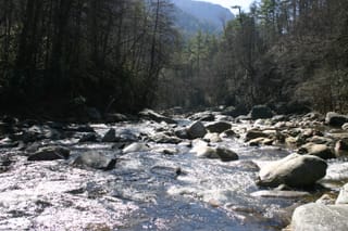 IMG_9871