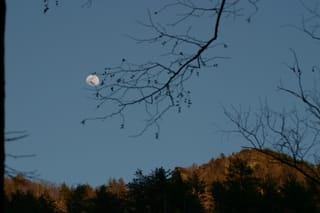Moon over Linville