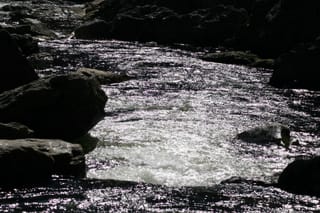 IMG_9897