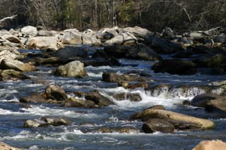 IMG_9896