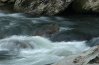 IMG_9998