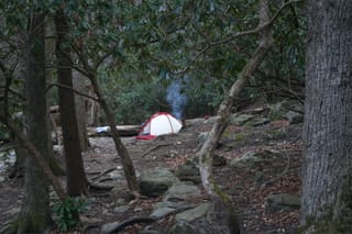 IMG_9910