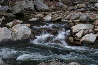 IMG_9954