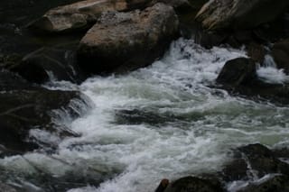 IMG_9956