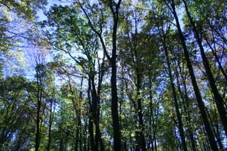 IMG_4235