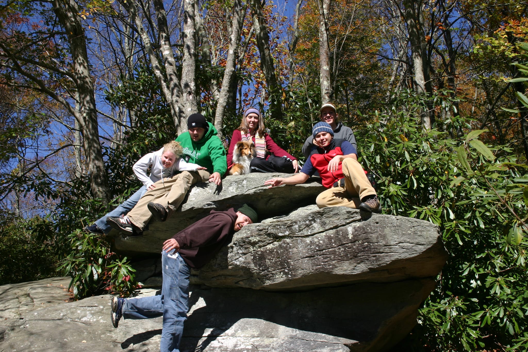 Head Stuck in a Rock