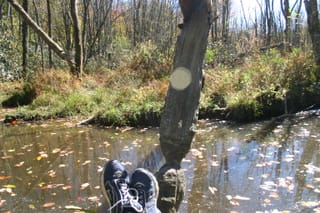 Greensboro Greenways trail