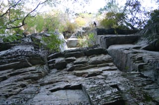 IMG_4309