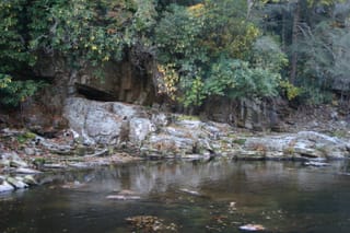 IMG_4315