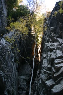 IMG_4326