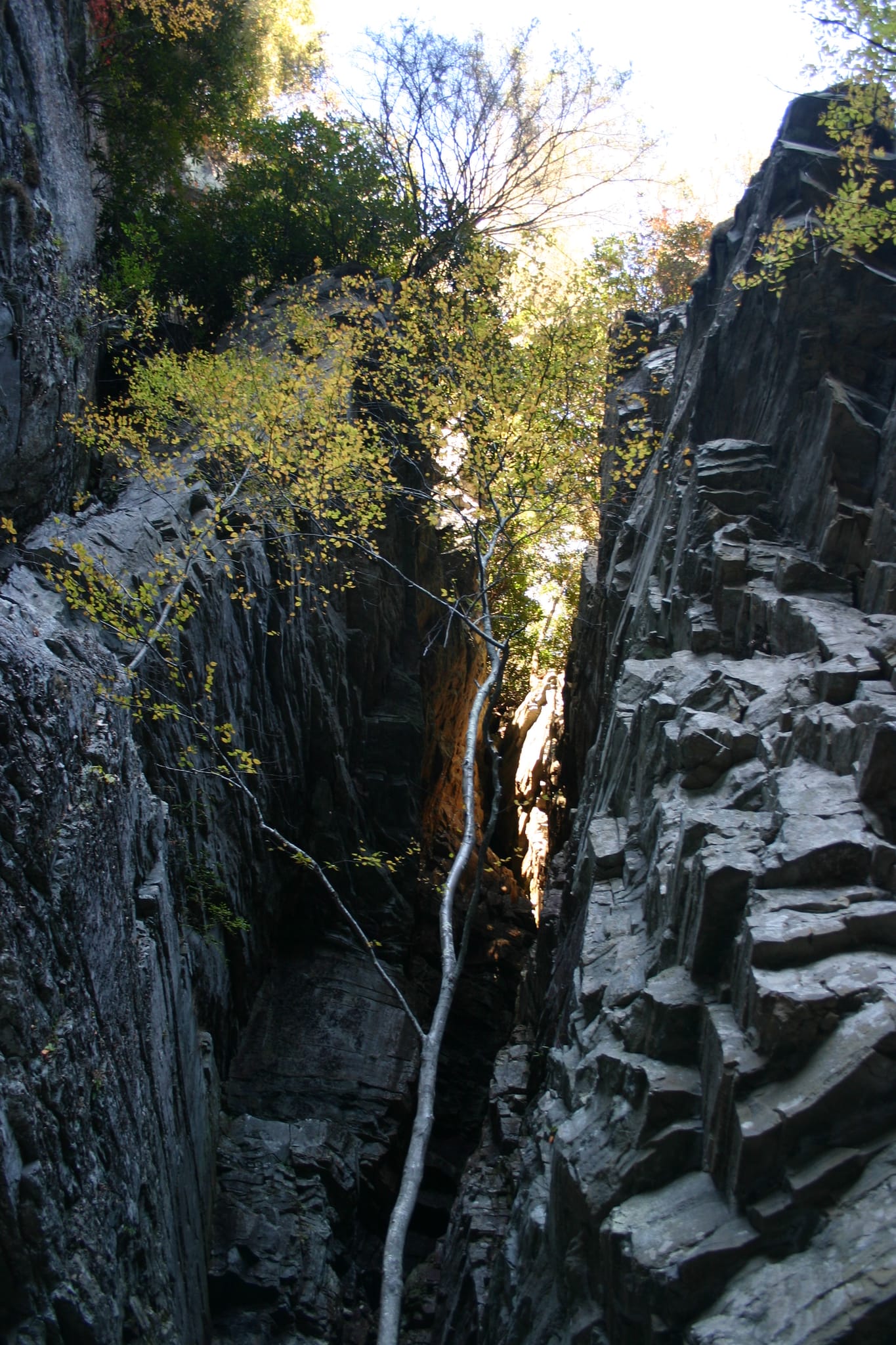 View from basin floor - Linville Falls