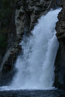 IMG_4352