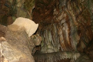 IMG_4369