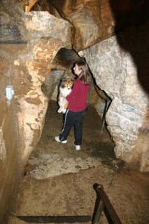 IMG_4393