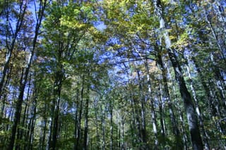 IMG_4237
