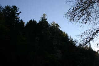 IMG_4317