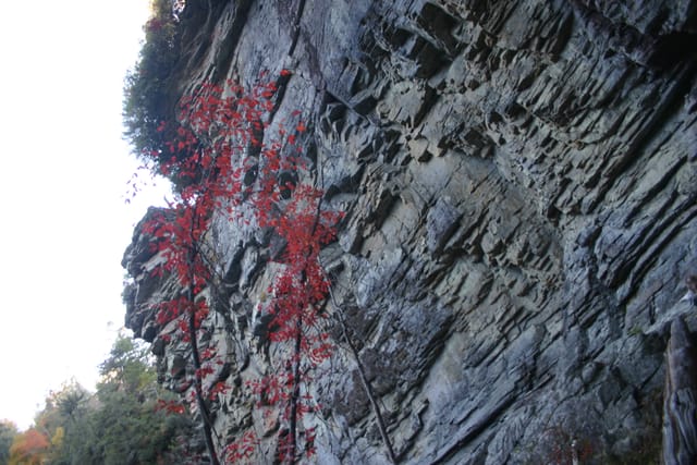 Linville Falls