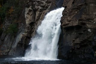 IMG_4335