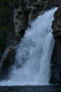 IMG_4353