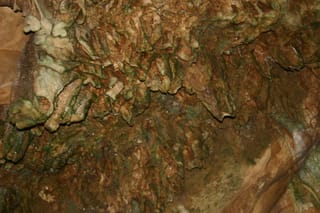 IMG_4370
