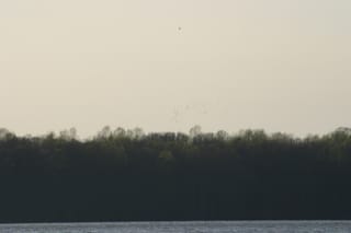 Lake Townsend Marina