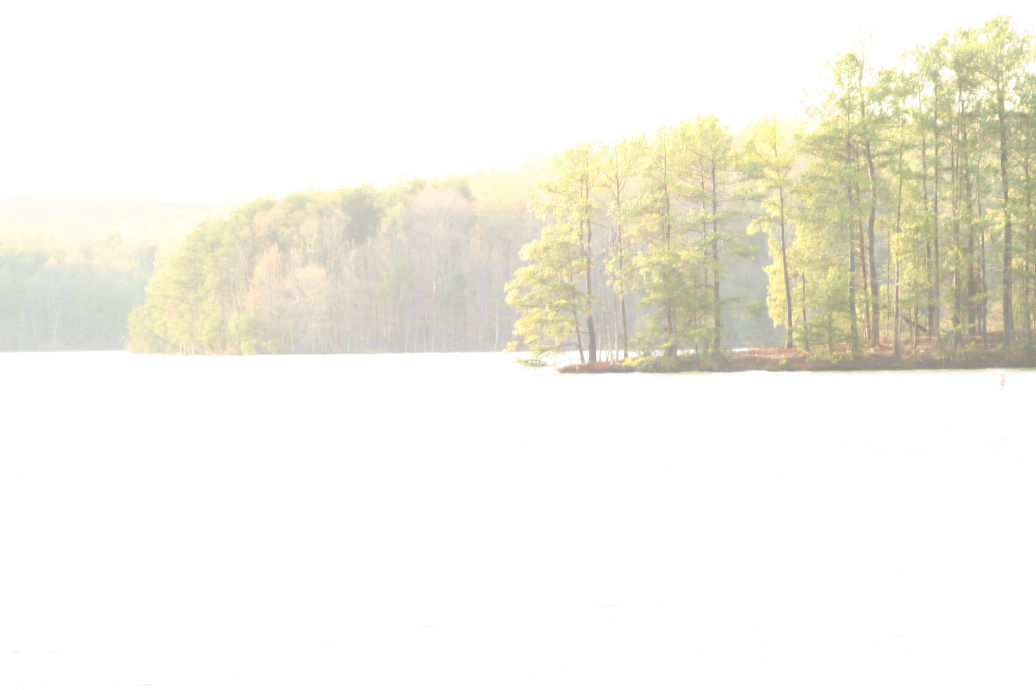 Lake Townsend Marina