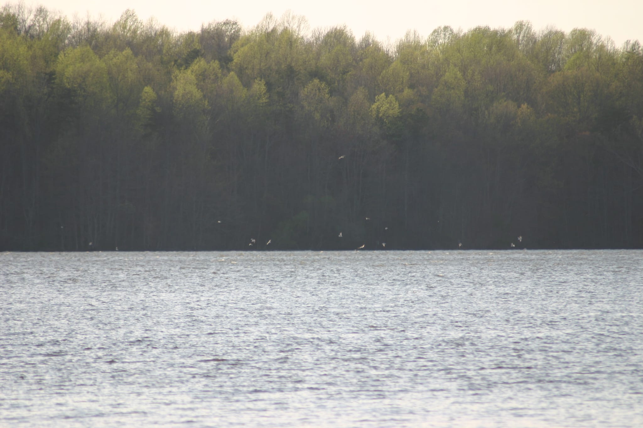 Lake Townsend Marina