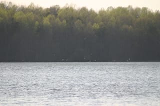 Lake Townsend Marina