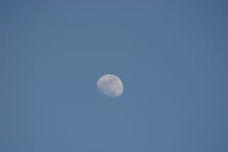 Lake Townsend Marina - moon