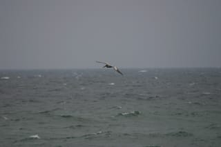 IMG_0439