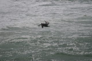 IMG_0443